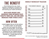 Walking for Weight Loss - Walk Slim Audio Cardio Workout